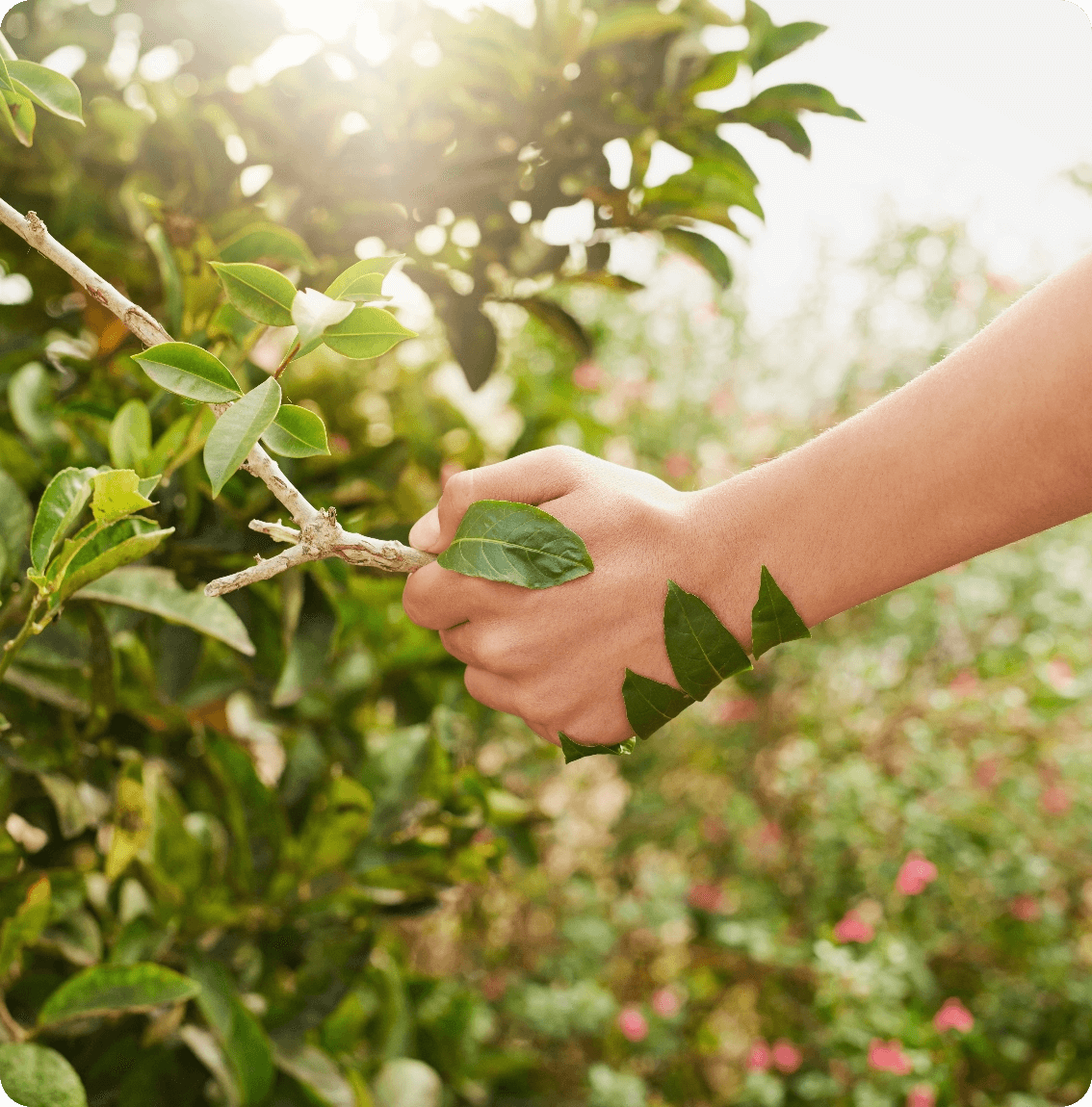 B-corp certifikácia